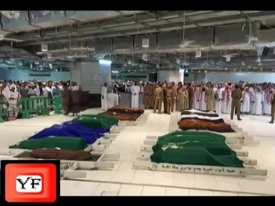 মুসলমানদের শহীদী মৃত্যু HD Video
