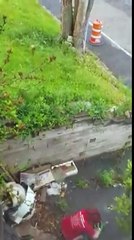 Prise en flagrant délit...