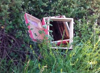 Na meti lopova košnice pčelara u Slatini, 28. maj 2016. (RTV Bor)