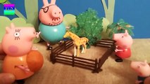 Peppa Pig Family adventures - Pregnant Mummy pig docotr's case - funny video for kids with toys