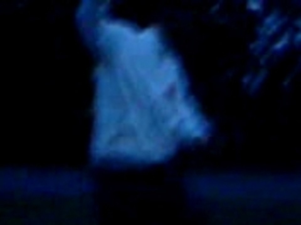 MOV00005