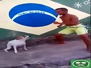 Best Funny Duet Dance 2016  Dog VS Boy - Funny Whatsapp Video | WhatsApp Video Funny | Funny Fails | Viral Video