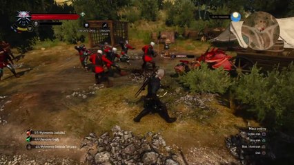 The Witcher 3: Wild Hunt - Wyvern