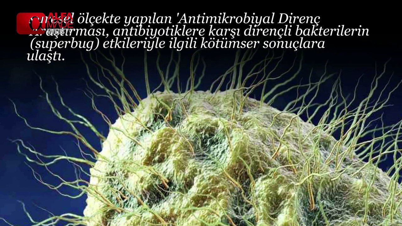 3 Saniyede Can Alan Bakteri