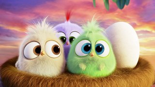 The Angry Birds Movie - The Hatchlings Thank You!