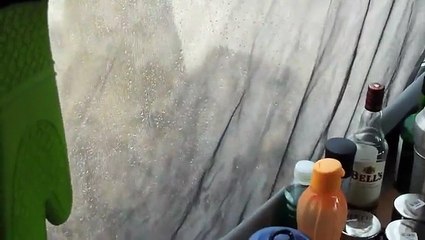 Ce campeur se fait réveiller par des lionnes !