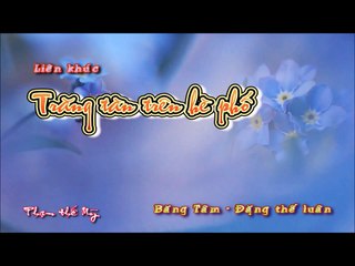 LK Trang Tan Tren He Pho &  Nhung Ngay Xua Than Ai - Hat Voi vvt007 wav