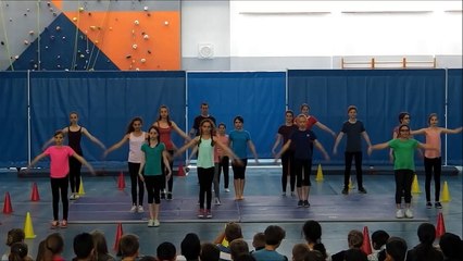 Spectacle 2016 AS cirque