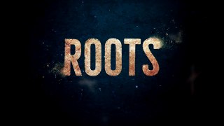 Reading for Roots - Mark Wolper - The Freedmen's Bureau Project History