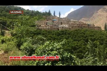 Yolu olmayan Siirt'in Narsuyu Köyü'nde tüm işler insan gücü ile hallediliyor