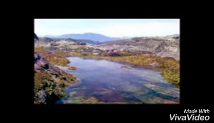 Over the Hedge (1998) Trailer