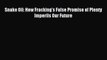 Download Snake Oil: How Fracking's False Promise of Plenty Imperils Our Future Ebook Free