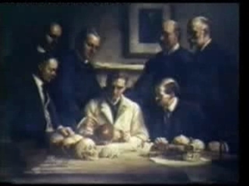 Darwin deuxième partie
