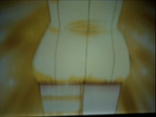 Tranformation Mew Mew