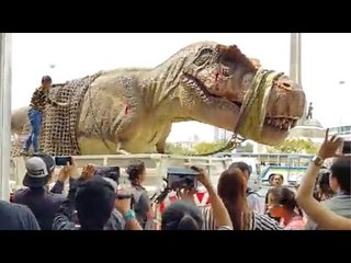 Dinosaur Live On Road - Amazing Video - Funny Whatsapp Video | WhatsApp Video Funny | Funny Fails | Viral Video