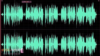 Adobe Audition Class:10 How to Edit Breaths, Clicks and Pops