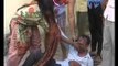 Haryana sisters beat up molesters in bus, passengers merely look on