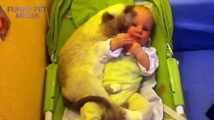 Cats and Babies ★ Cat Meets Baby for First Time (HD) [Funny Pets]