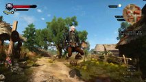 The Witcher 3: Wild Hunt 空中矮人Bug