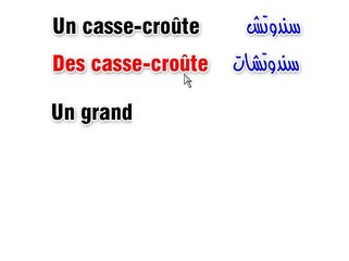 1-4-Le pluriel des noms et adjectifs_6