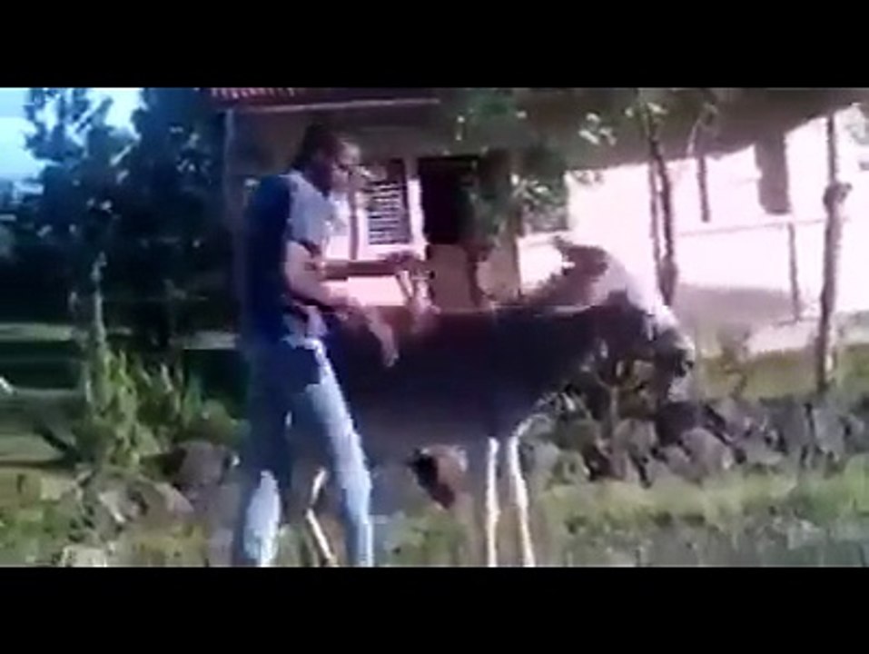pakistani new moter
