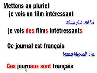 1-4-Le pluriel des noms et adjectifs_7
