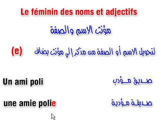 1-5-Le féminin des noms et adjectifs_1