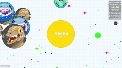Agar.io PUMBA Vs CLAN ƬΛG ⁄ SOLO Vs TEAMS
