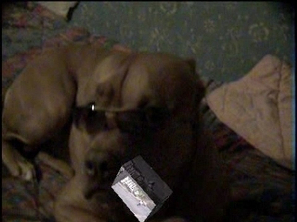Clip de l'étoile