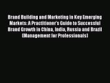 PDF Brand Building and Marketing in Key Emerging Markets: A Practitioner's Guide to Successful