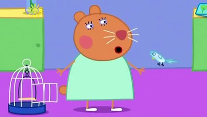 Peppa Pig Doctor Hamster's Tortoise cartoon snippet