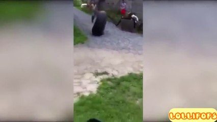 Videos Graciosos 2016 - Vídeos Engraçados 2016 - Videos de Risa 2016