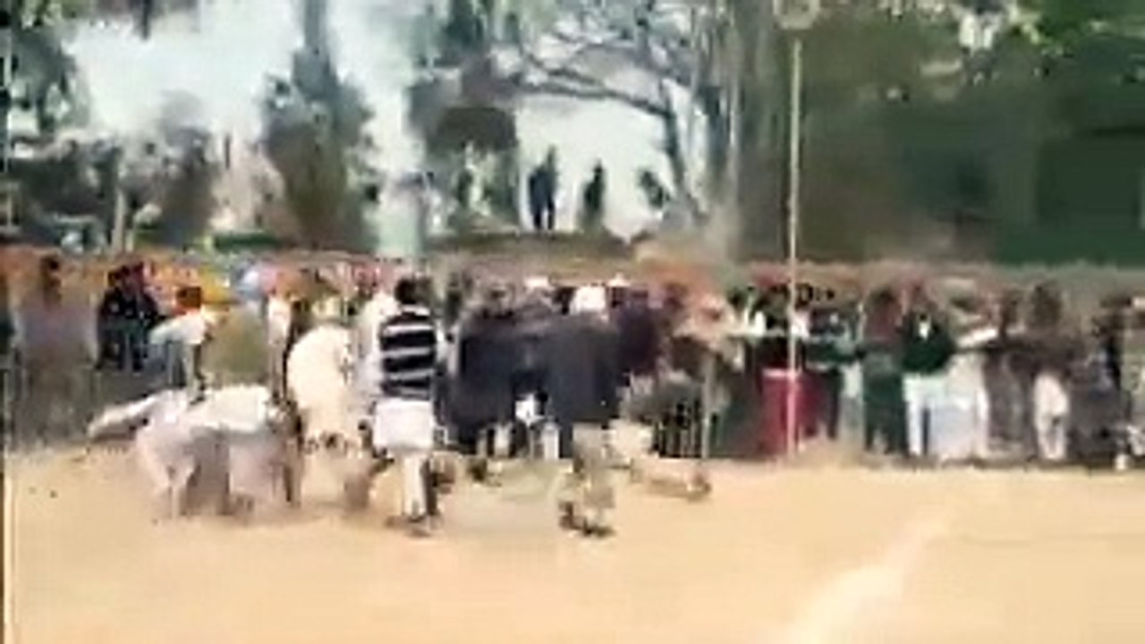 O Pakkro murgy ko ( check karo ye game )