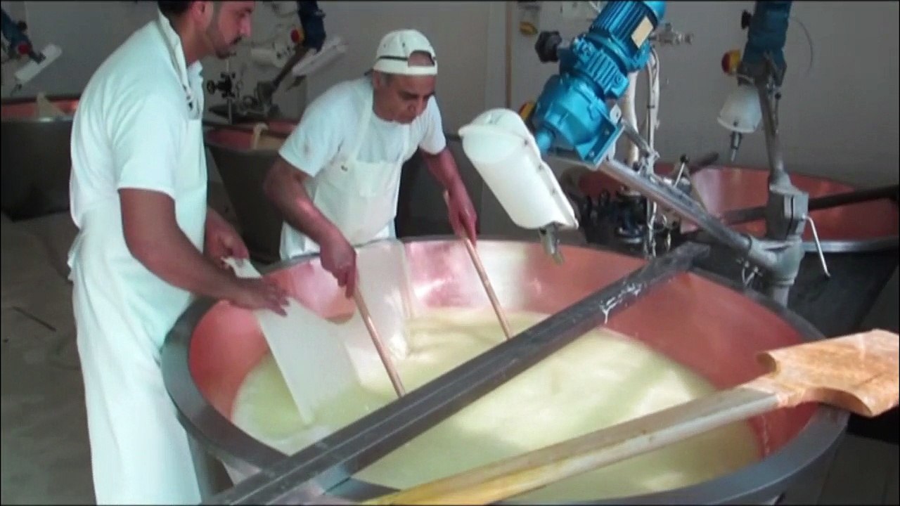 Aux sources du parmesan
