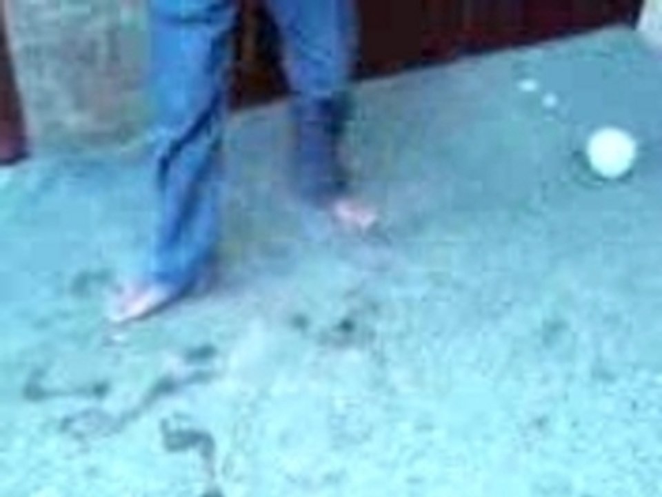 anis le sonak 2