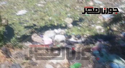 خسائر فادحة بعد انتشار مرض غريب  في  الفراخ   والتجار يلقون النافق في الترع التي تروي الاراضي الزراعية بعد خسايرهم