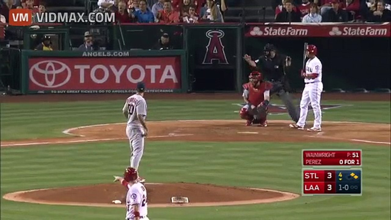 Baseball game briefly halted when speedy cat storms the diamond