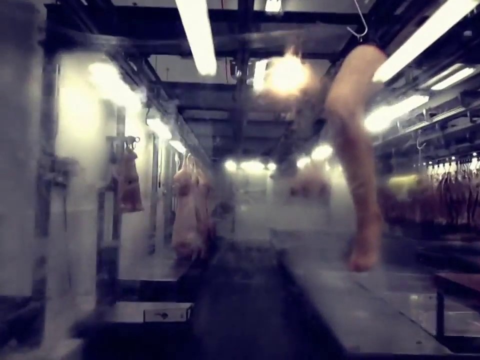 “SHOCKING!!! Corned Beef in China Produced from Human Bodies
