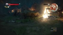 The Witcher 3: Wild Hunt zwergbug bug