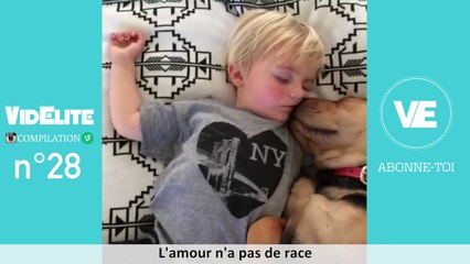 MEILLEURS VINES & INSTAGRAM FRANÇAIS - Compilation n°28