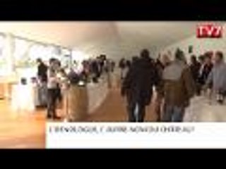 Vin : la campagne des primeurs à Bordeaux