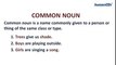 Common Noun and Proper Noun - Learn English Grammar Online