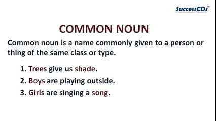 Common Noun and Proper Noun - Learn English Grammar Online