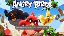 Angry Birds Poached Eggs 2-6