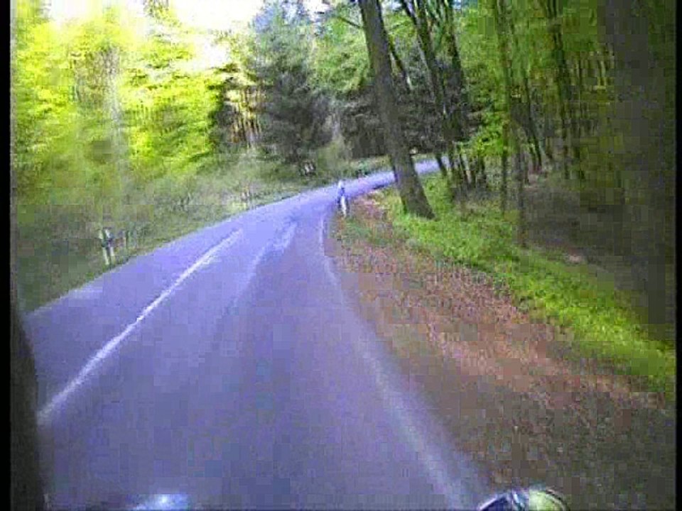 Guzzi-meets-Prince-Black-Sabbath-Tom-Petty