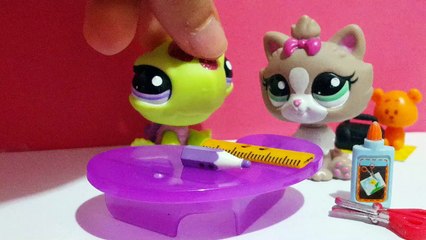 YENİ İNTRO | LPSEM miniş ^-^