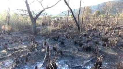 Yanan Sazlıkta Ceset Bulundu