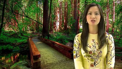 Suy niệm với ĐTC Phanxicô - 25.02_02.03.2016 - Kitô hữu phải sống chân thực