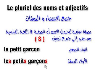 1-4-Le pluriel des noms et adjectifs_1