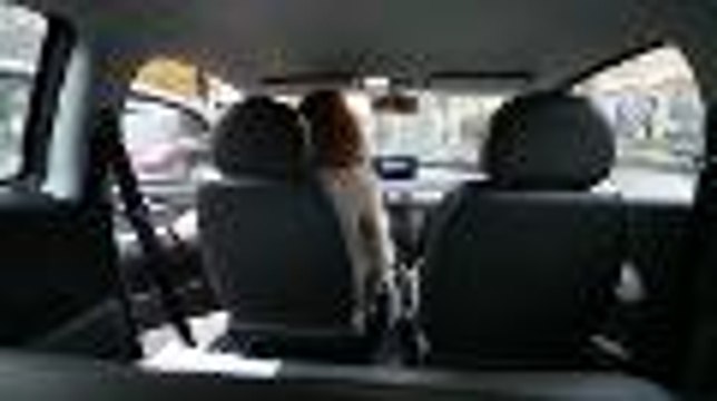 Bordeaux : on a testé pour vous la voiture Blue de la Cub